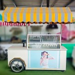 Freezer Cart Supplier - Factory Price Customized Volume