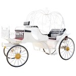 Horse Carriage Manufacturer - White Holy Pumpkin Wedding