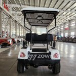 Golf Buggy Supplier - Best Quality Wholesale Price
