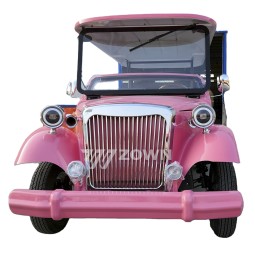 Golf Car Supplier - Professional Sightseeing Mobility