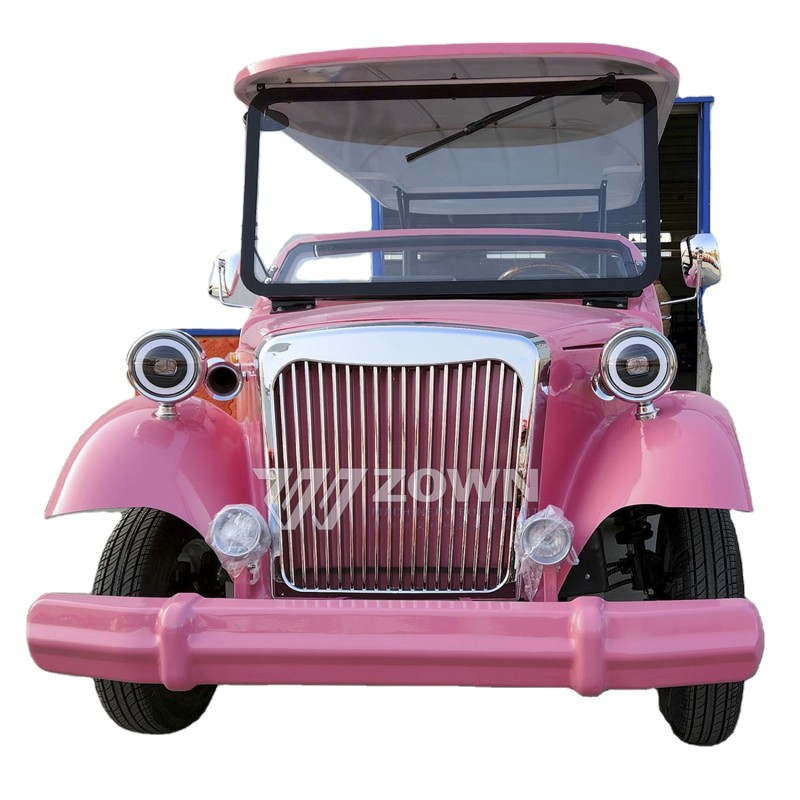 Golf Car Supplier - Professional Sightseeing Mobility