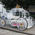 Horse Carriage Manufacturer - White Holy Pumpkin Wedding