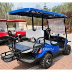 Electric Golf Cart Supplier - Wholesale 4 Seaters 4WD