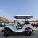 Golf Cart Manufacturer - High Quality 48V Elegant Vacation