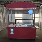 Ice Cream Cart Manufacturer - 2024 Design Deep Freezer