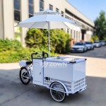Snack Cart Factory - Electric Tricycle Semi-enclosed