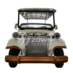 Golf Cart Manufacturer - High Quality 48V Elegant Vacation