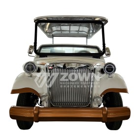 Golf Cart Manufacturer - High Quality 48V Elegant Vacation