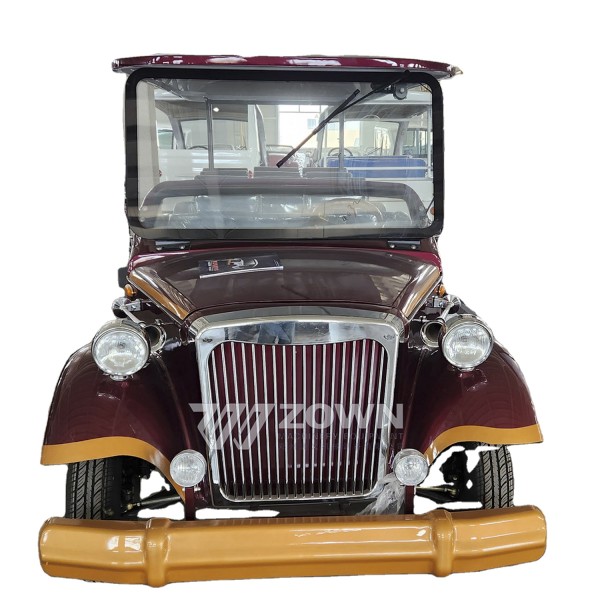 Electric Sightseeing Bus Supplier - Classic Old-fashioned Doors