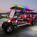 Golf Cart Factory - New Design Off-road Customized