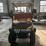 Electric Golf Cart Manufacturer - Customized Stylish Comfortable
