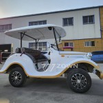 Vintage Electric Car Supplier - Most Popular 8 Passenger