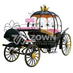 Sightseeing Carriage Supplier - Latest Designed Royal