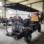 Golf Car Factory - Hot Sales Competitive Price 2024