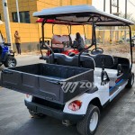 Golf Cart Manufacturer - Factory Direct 4-6 Seater