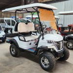 Electric Golf Cart Factory - Off-road Hunting Lithium