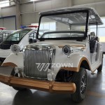 Electric Golf Cart Manufacturer - Quality Assurance Europe