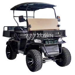 Electric Golf Cart Manufacturer - Customized Stylish Comfortable