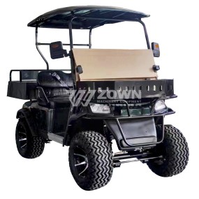 Electric Golf Cart Manufacturer - Customized Stylish Comfortable