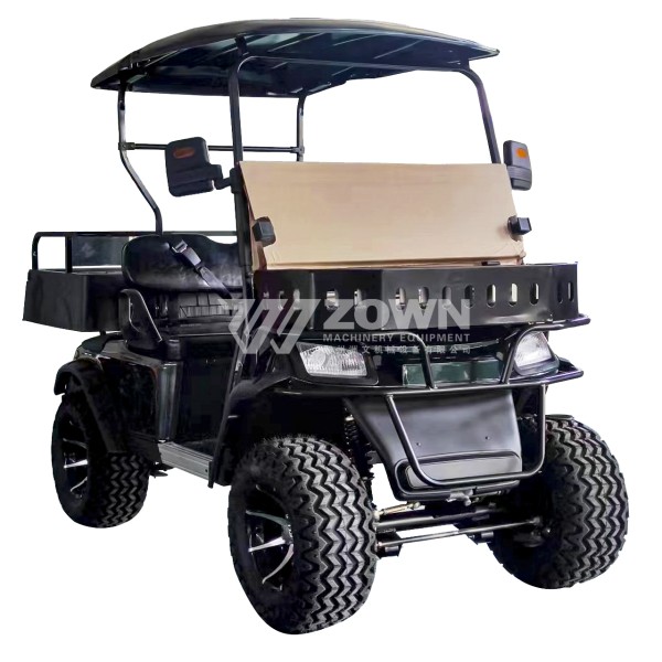 Electric Golf Cart Manufacturer - Customized Stylish Comfortable
