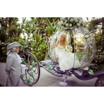 Cinderella Carriage Supplier - Dream Pumpkin Carriage Design