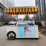 Food Cart Tricycle Factory - Factory Price Hot Dog Fruit