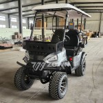 Europe Golf Cart Supplier - Fashional Lithium Battery CE