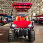 Golf Buggy Manufacturer - 2024 Pure Electric Red