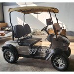 Electric Golf Cart Manufacturer - Customized Stylish Comfortable