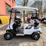 Golf Buggy Supplier - High Performance Lift Kit