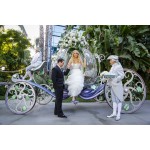 Cinderella Carriage Supplier - Dream Pumpkin Carriage Design