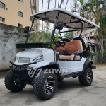 Off-road Golf Cart Supplier - Stable Durable 4-wheel Lithium