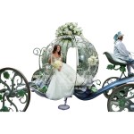 Wedding Carriage Manufacturer - Royal Classic Horse-drawn