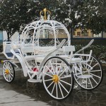 Horse Carriage Manufacturer - White Holy Pumpkin Wedding