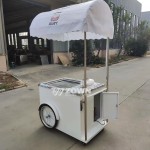Ice Cream Cart Factory - New Style Snow Cone Truck