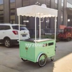 Ice Cream Cart Manufacturer - 2024 Design Deep Freezer