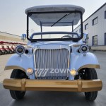 Golf Cart Manufacturer - High Quality 48V Elegant Vacation