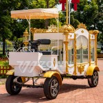 Funeral Carriage Supplier - Customized Electric Ice Coffin