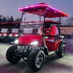 Golf Cart Factory - New Design Off-road Customized