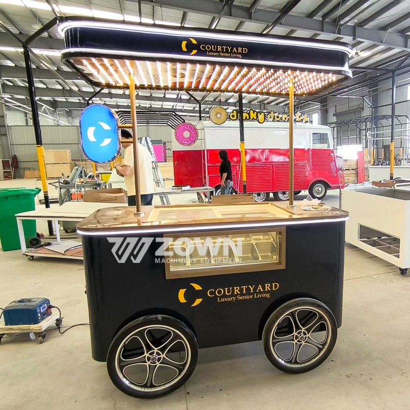 Hand Push Cart Manufacturer - Freezer for Ice Cream Customized