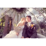 Cinderella Carriage Supplier - Dream Pumpkin Carriage Design