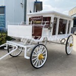 Hearse Manufacturer - Top Ranking Electric Horse