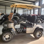 Golf Cart Manufacturer - Factory Direct Multifunctional