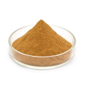 Nutritional Supplements Ginkgo Biloba Extract Powder 60% Glycosides