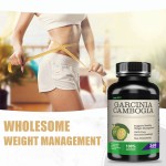 Ausreson  Garcinia Cambogia Capsules Pills Herbal OEM/ODM Supplements Fat burner Garcinia Cambogia Capsules