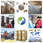 Top Quality Vitamin a Acetate Food Grade Cas 127-47-9 Vitamin a Acetate Powder