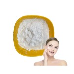 Organic Raw Material Supplement Polygonum Cuspidatum Extract Powder Natural Resveratrol
