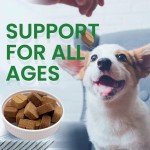 Pet Vitamin Supplement Chewable Multivitamin Mineral Dog Multivitamin Pet Health Supplement
