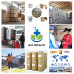 Suppliers Mono Supplements Thiamine Nitrate(vitamin B1 Hcl Gmp) Thiamin Hcl Vitamin B1Powder