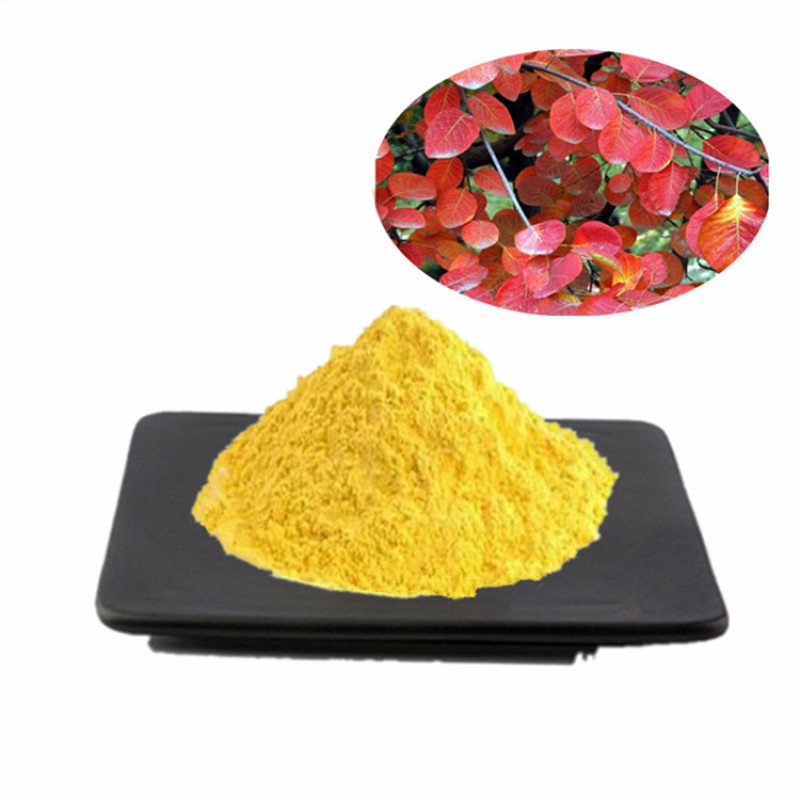 Wholesale Price Supplement Fisetin Pure 98% Fisetin Smoketree Extract Powder
